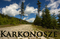 KARKONOSZE.jpg