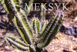 meksyk2022.jpg