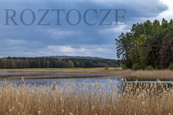 roztocze.jpg
