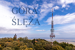 sleza.jpg