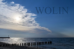 wolin.jpg