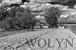 wolyn.jpg