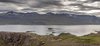 Hólmanes - Nature Reserve