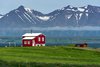 Dalvik
