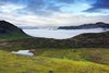 East Fjords