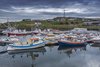 Djúpivogur