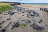 Skar?svík Beach, Półwysep Snaefellsnes