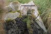 Well of the Irish, Półwysep Snaefellsnes