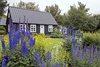 Botanical Garden Akureyri