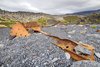 Djúpalónssandur beach, Półwysep Snaefellsnes
