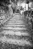 Motovun
