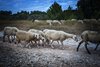 Istria