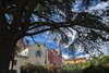 Motovun