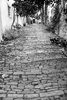 Motovun (wł. Montona) 