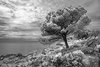 Istria