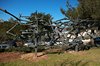 Yad Vashem