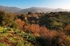 Wzgórza Golan