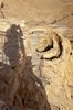 Masada