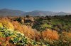 Wzgórza Golan
