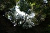Drogaratis cave