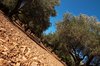 Kefalonia