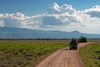 Amboseli
