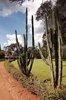 Posiadłość Karen Blixen w Nairobi
