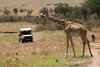 Masai Mara