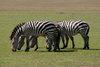 Masai Mara
