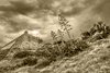 Retimno - ????µ??