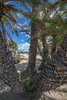 Vai Beach - ??????? ???