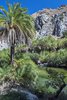 Preveli Beach - ??????? ???ü???