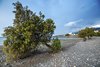 Fragokastello Beach - ??????? ??????????????