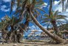 Vai Beach - ??????? ???