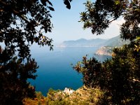 DSC 7674  ścieżki Cinque Terre