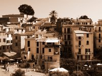 DSC 7705