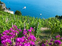 DSC 7723  ścieżki Cinque Terre