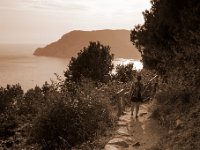 DSC 7730  ścieżki Cinque Terre