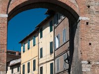 DSC 7859  Siena – według legendy Sienę założyli synowie Remusa – Senio i Aschio, którzy uciekając przed Romulusem schronili się w górach i wznieśli zamek Senio. Herbem miasta stało się godło ich rodu – wilczyca karmiąca Romulusa i Remusa, a barwami balzany – miejskiego sztandaru były biel i czerń
