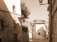 DSC 7868  W XII i XIII wieku Siena zaliczała się do najbogatszych miast Europy. Do dzisiejszego dnia istnieje w Sienie najstarszy europejski bank Monte Paschi di Siena. Bankierzy ze Sieny udzielali pożyczek prawie w całej ówczesnej Europie, a do największych rodów finansowych należeli: Buonsignori, którzy założyli spółkę Grande Tavola, Piccolomini, Salimbeni. Miastem rządziła rada, consiglio, która co roku wybierała członków rządu – Signorii i podestę – najwyższego urzędnika miejskiego.