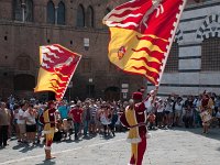 DSC 8093  Siena - Palio