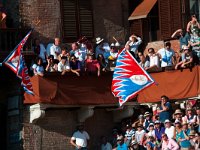 DSC 8310  Palio di Siena