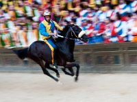DSC 8459  Palio di Siena Konie i jeźdźcy noszą barwy i herby contrade (dzielnic): Aquila (Orzeł), Bruco (Gąsienica), Chiocciola (Ślimak), Civetta (Sowa), Drago (Smok), Giraffa (Żyrafa), Istrice (Jeżozwierz), Leocorno (Jednorożec), Lupa (Wilczyca), Nicchio (Muszla), Oca (Gęś), Onda (Fala), Pantera (Pantera), Selva (Las), Tartuca (Żółw), Torre (Wieża) i Valdimontone (Baran).