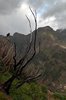 Eira do Serrado
