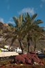 Ribeira Brava
