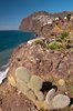 Camara de Lobos