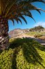 Camara de Lobos