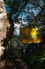 Ribeiro Frio