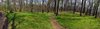 Bielańsko-Tyniecki Park Krajobrazowy