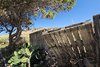 Mgarr